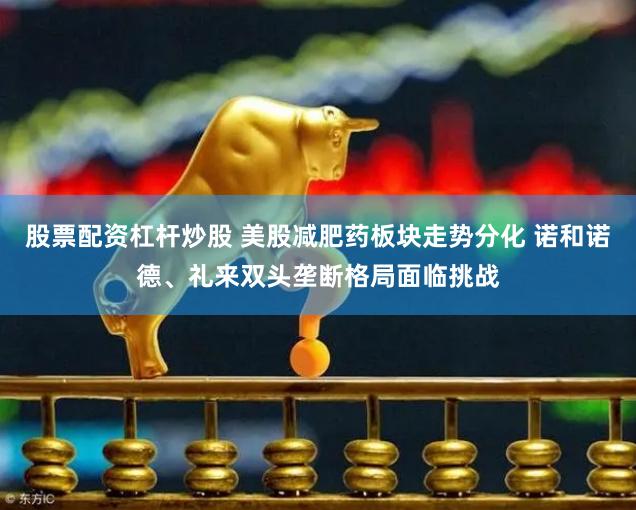 股票配资杠杆炒股 美股减肥药板块走势分化 诺和诺德、礼来双头垄断格局面临挑战