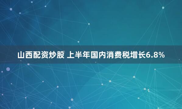 山西配资炒股 上半年国内消费税增长6.8%