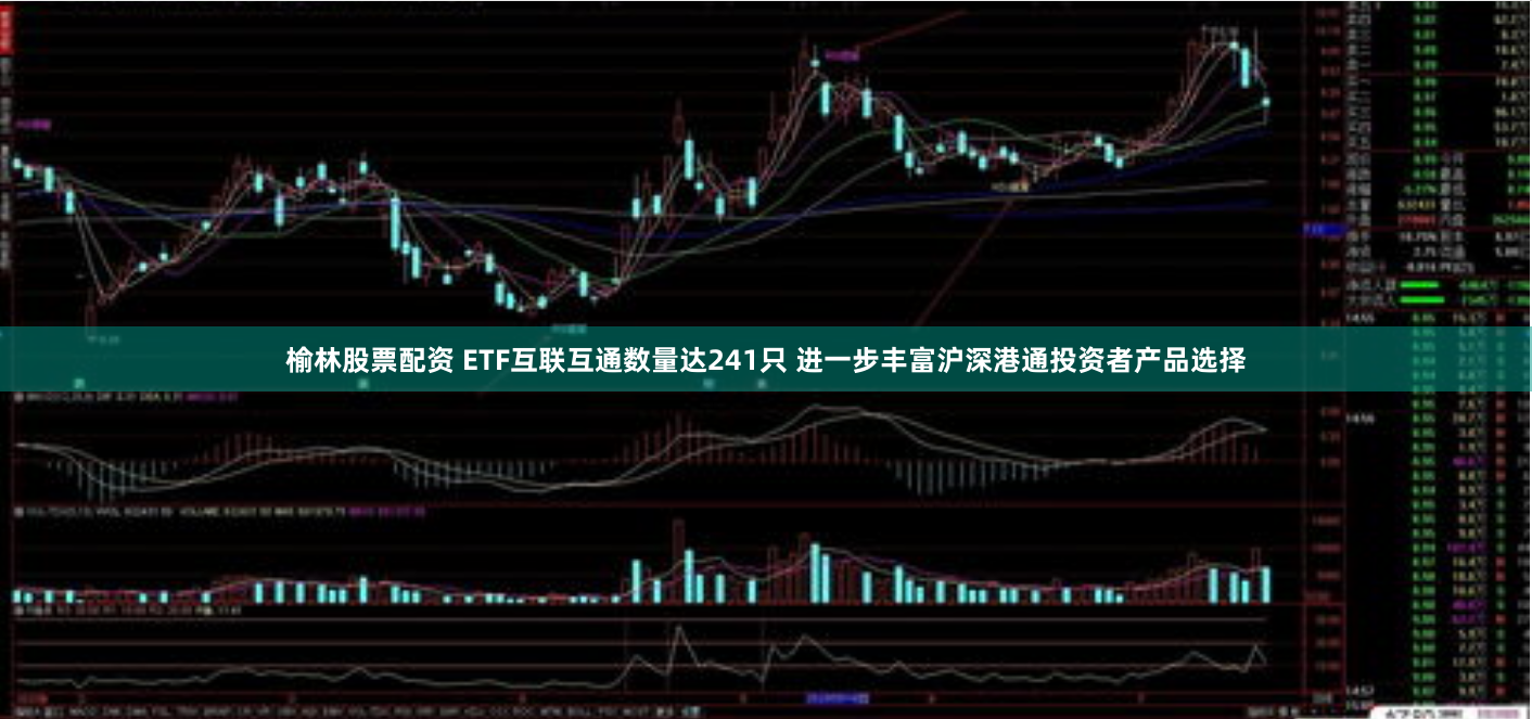 榆林股票配资 ETF互联互通数量达241只 进一步丰富沪深港通投资者产品选择