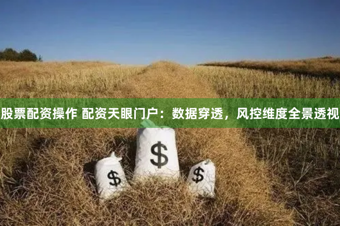 股票配资操作 配资天眼门户：数据穿透，风控维度全景透视