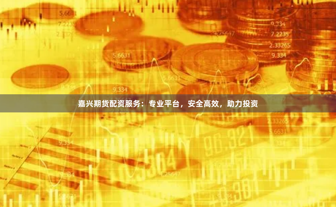 嘉兴期货配资服务：专业平台，安全高效，助力投资