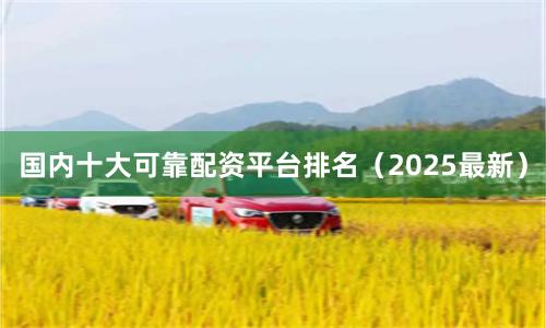 国内十大可靠配资平台排名（2025最新）